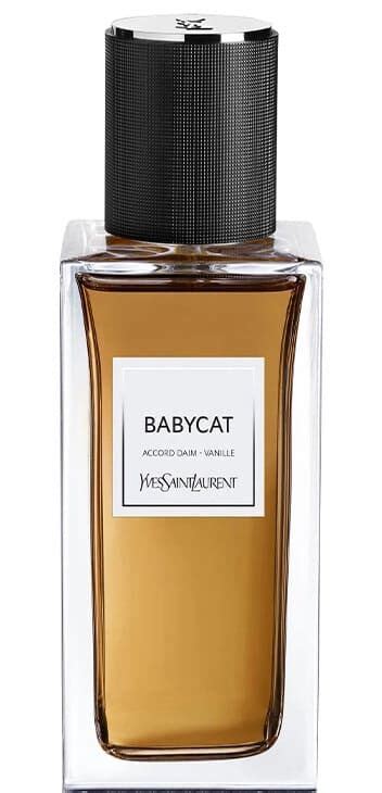 ysl bebe|ysl baby cat.